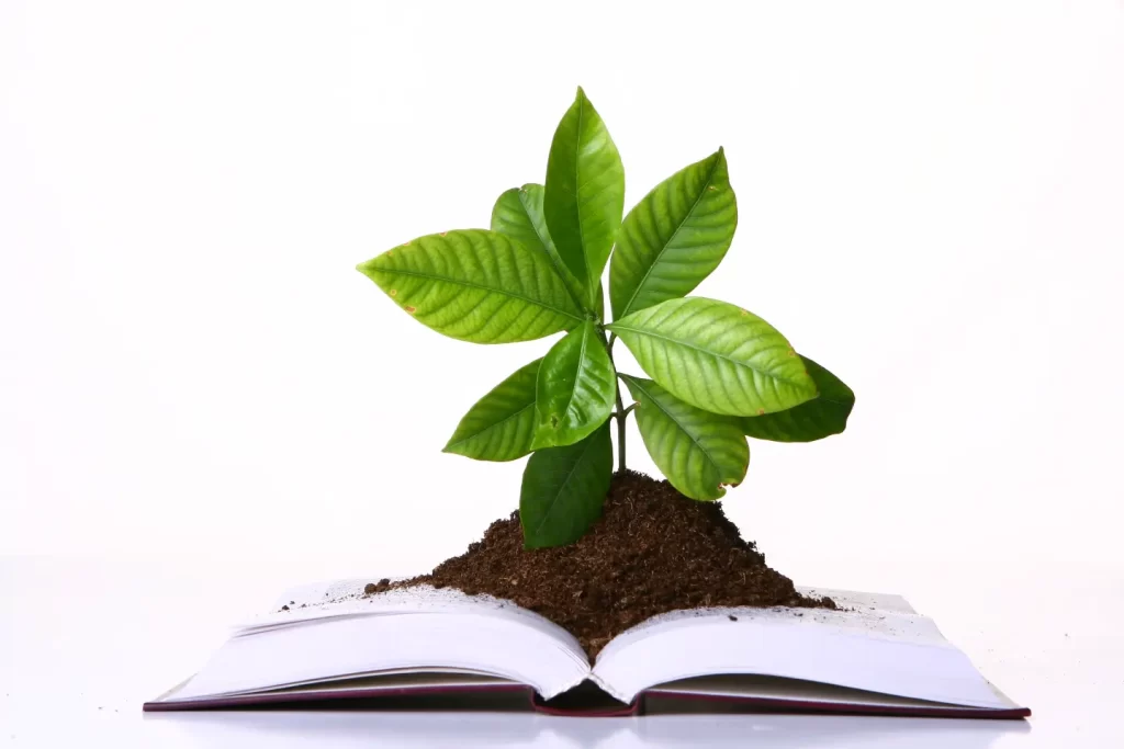 green-plant-growing-pages-book