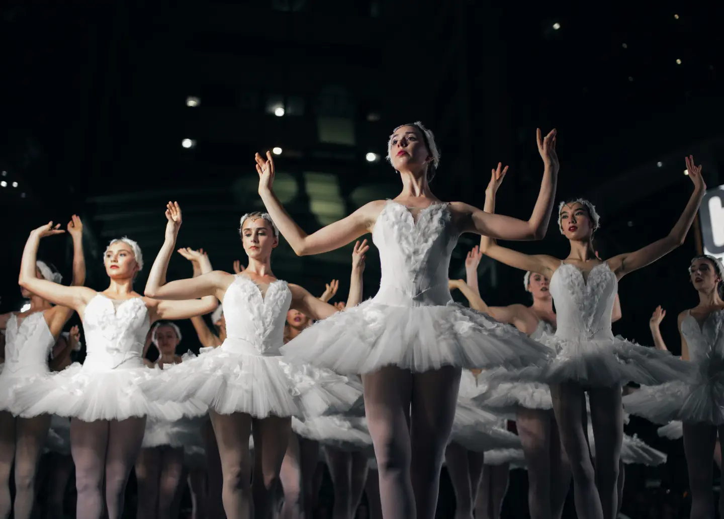 group-of-ballerinas-dancing-while-raising-both-hand