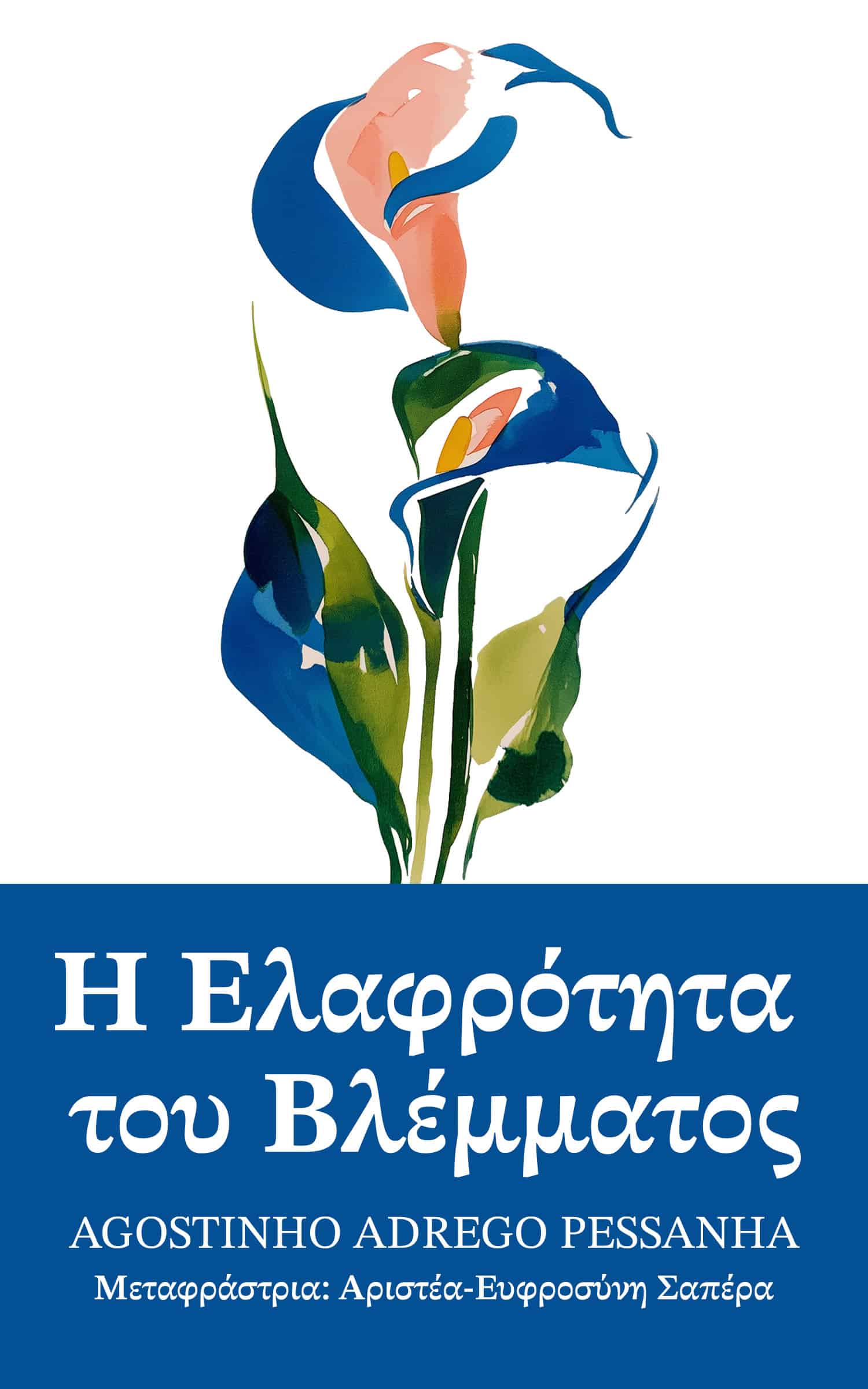 EU-A-Leveza-do-Olhar-9798892141536-Hardback TransEuropeanJourney